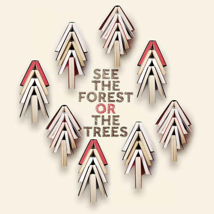 See the forest or the trees.